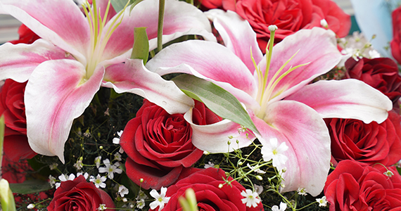 Blooms Flowers Dundalk - Digital Florists customer